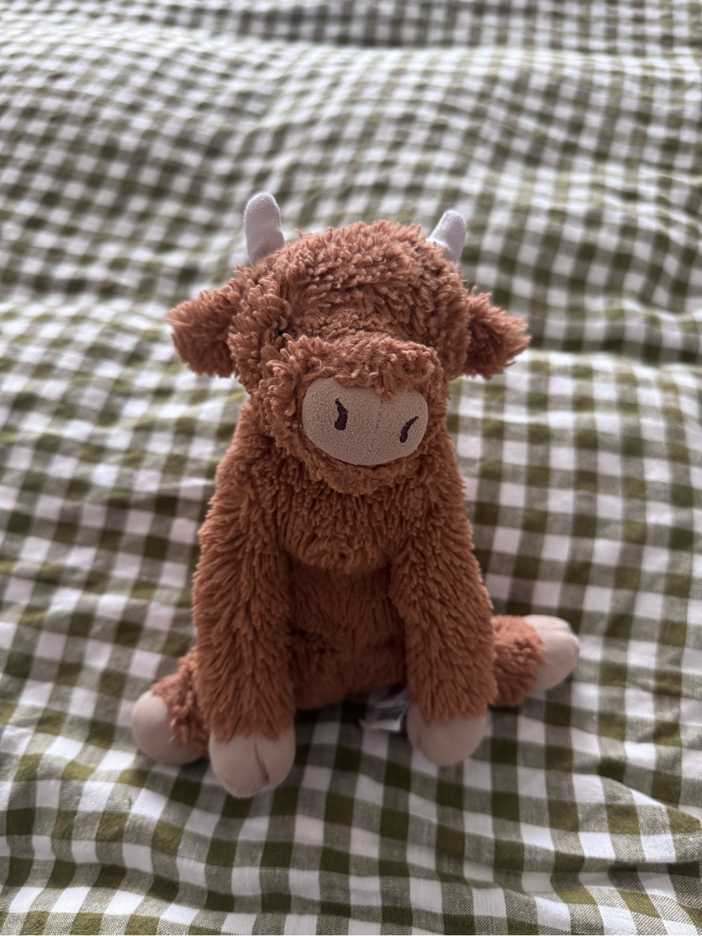 Small highland cow jellycat!